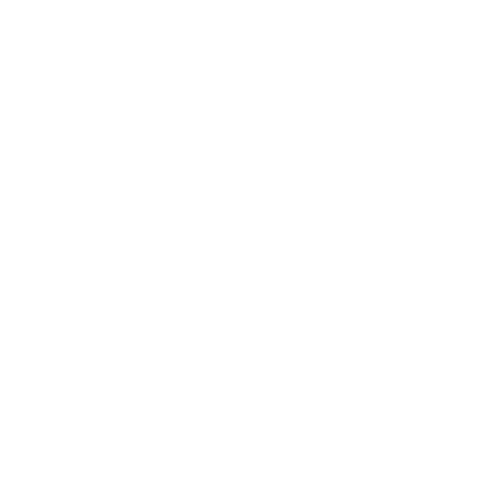 Copy of Customer centric (3)